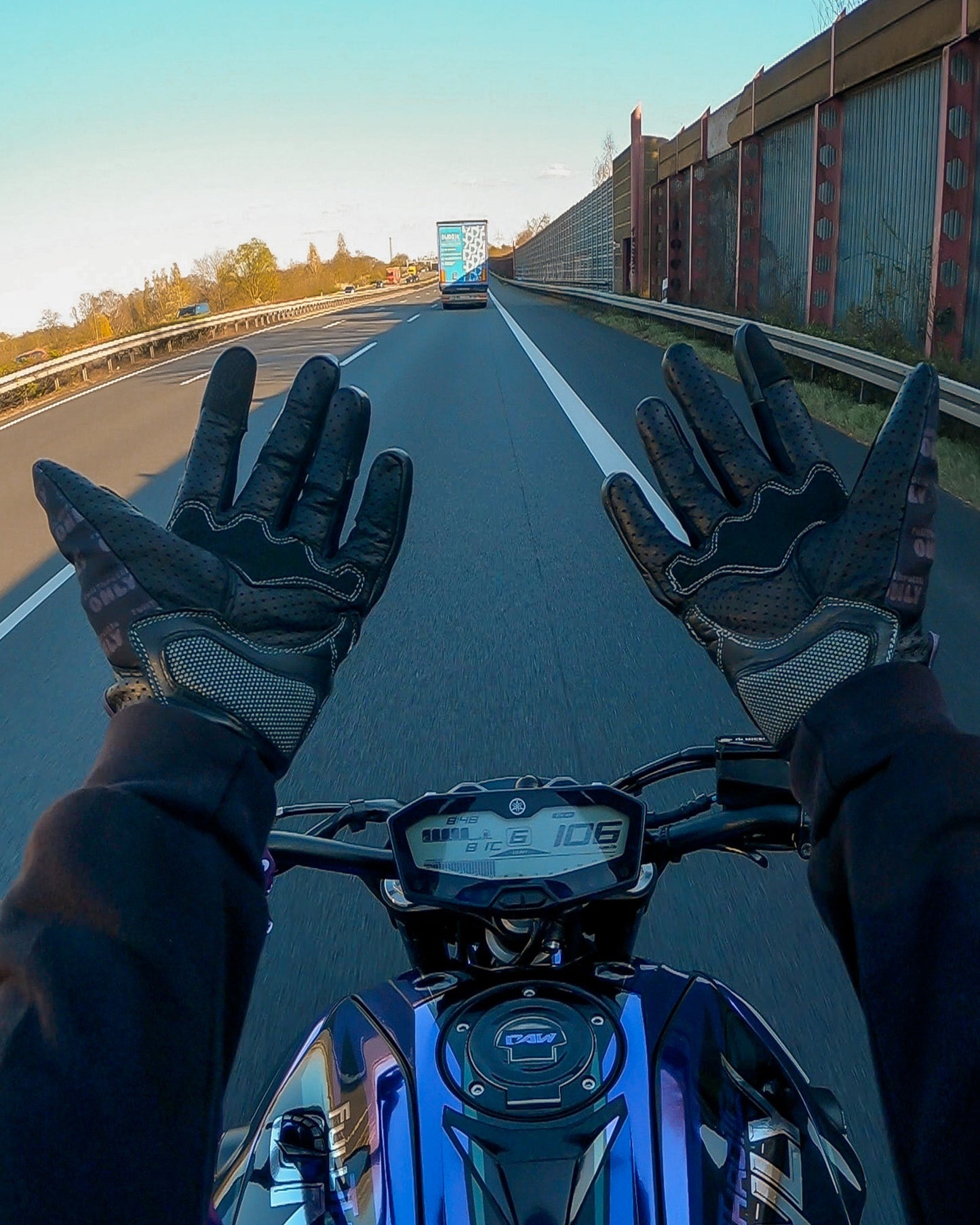 THE GLOVES - THE ORIGINAL